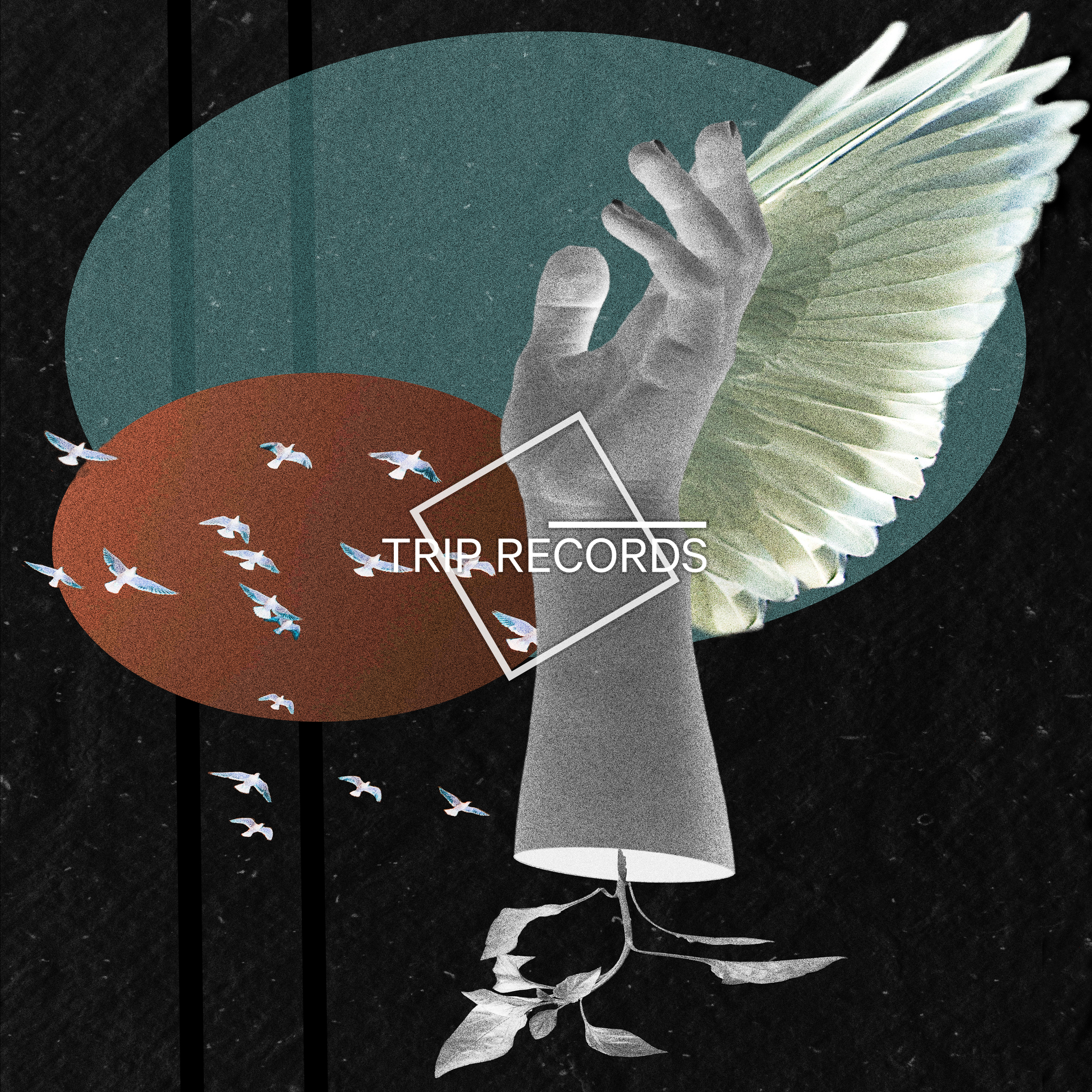 album-cover-1